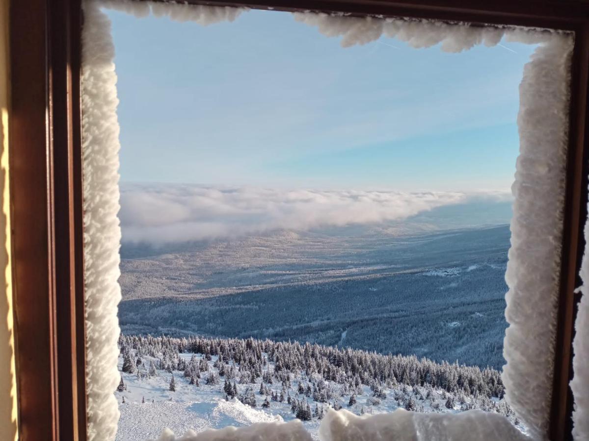 Sunny Bear Bed & Breakfast Jelenia Gora Bagian luar foto