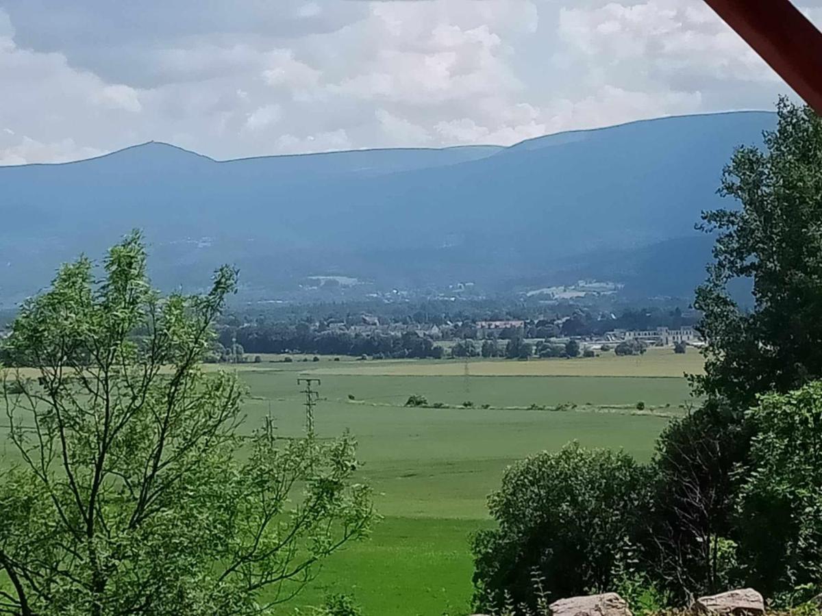 Sunny Bear Bed & Breakfast Jelenia Gora Bagian luar foto